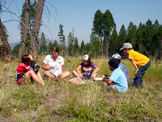 Junior Naturalist Summer Camp